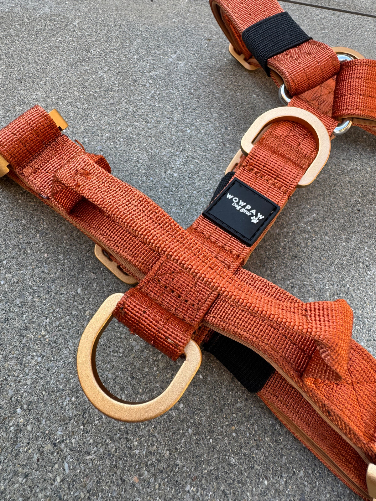 Hochwertiges Hundegeschirr XS Kupfer Edition