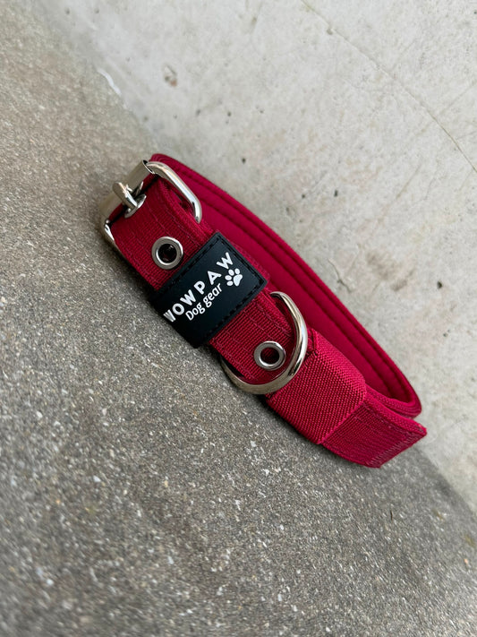 Hochwertiges Basic Hundehalsband Burgund-Silber Edition 2,5cm Größe S