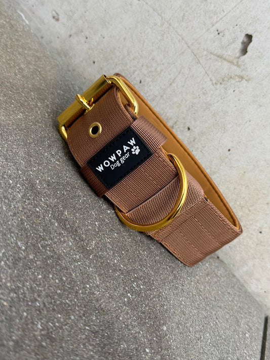 Hochwertiges Basic Hundehalsband Braun-Gold Edition 5cm Größe S