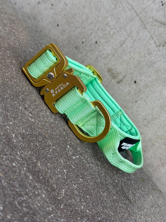 Hochwertiges taktisches Hundehalsband XS 2,5cm Pistaziengrün Edition