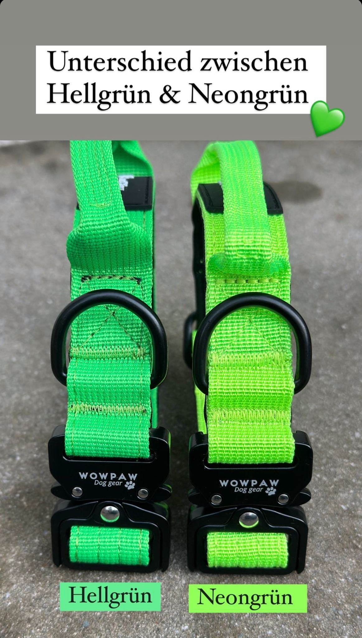 Collare tattico per cani di alta qualità XS 2,5cm verde neon