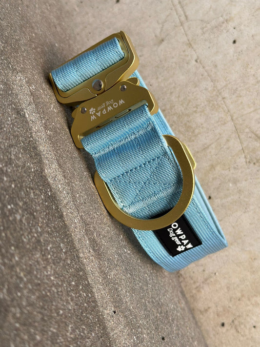 Taktisches Hundehalsband 5cm ULTRA LIGHT Sky Blue Edition S ohne Griff