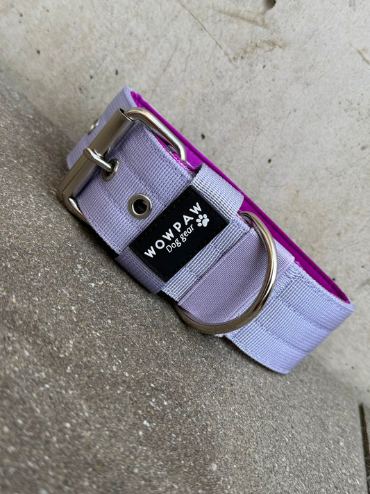 Hochwertiges Basic Hundehalsband Flieder-Silber Edition 5cm Größe S