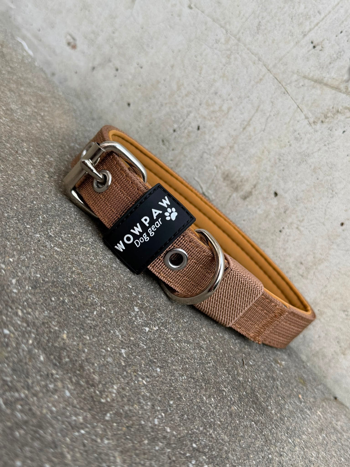Hochwertiges Basic Hundehalsband Braun-SIlber Edition 2,5cm Größe M