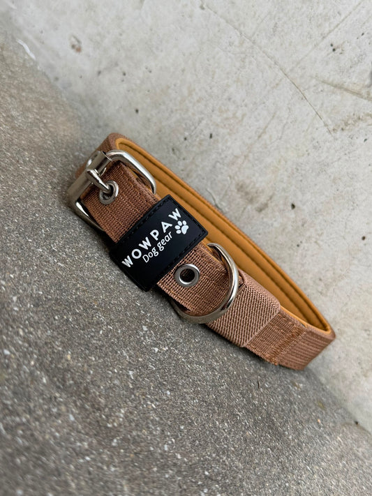 Hochwertiges Basic Hundehalsband Braun-Silber Edition 2,5cm Größe S