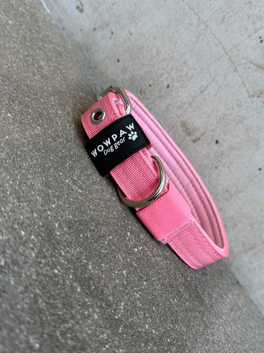 Hochwertiges Basic Hundehalsband Rosa-Silber Edition 2,5cm Größe S