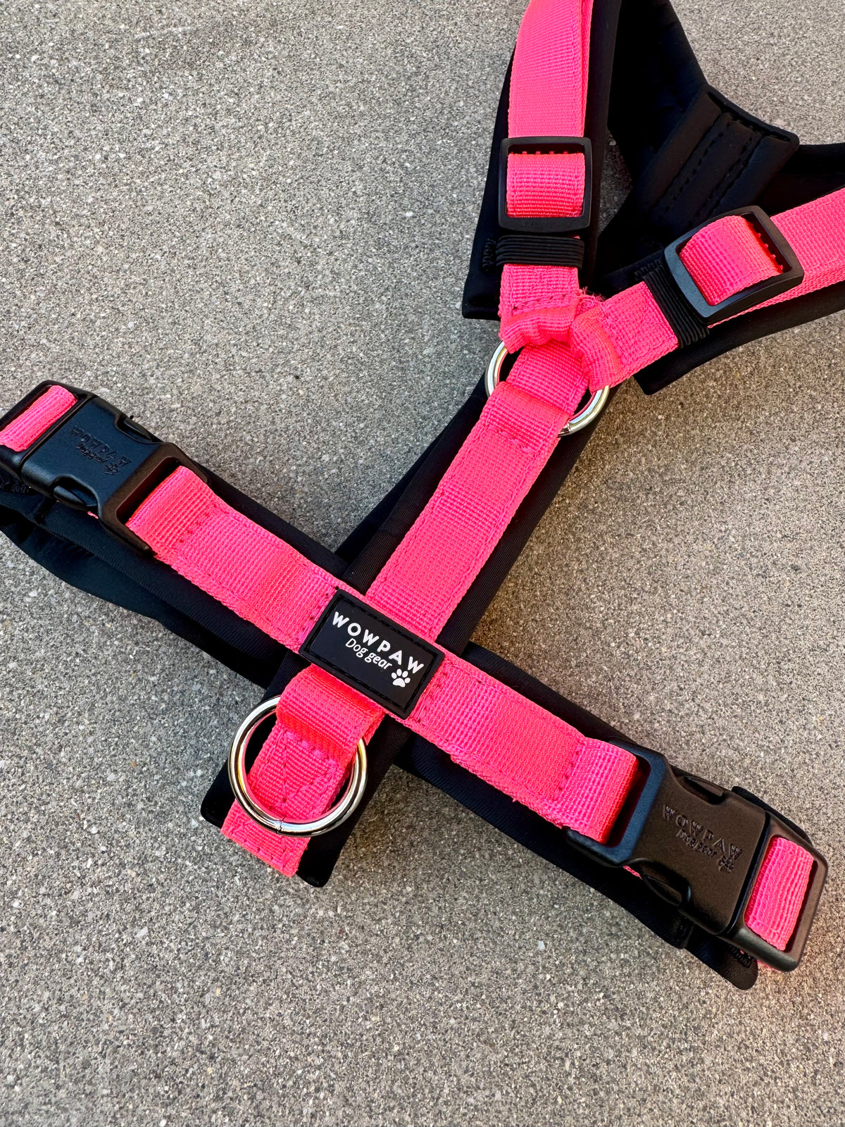 Hochwertiges Hundegeschirr FLOW Neonpink
