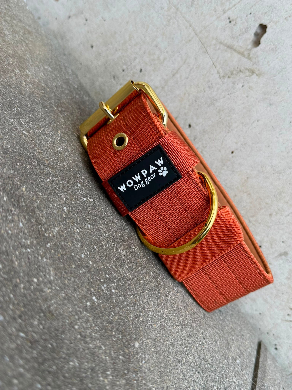 Hochwertiges Basic Hundehalsband Kupfer-Gold Edition 5cm Größe L