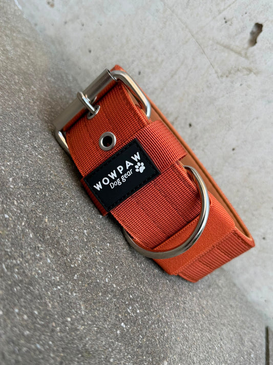 Hochwertiges Basic Hundehalsband Kupfer-Silber Edition 5cm Größe S