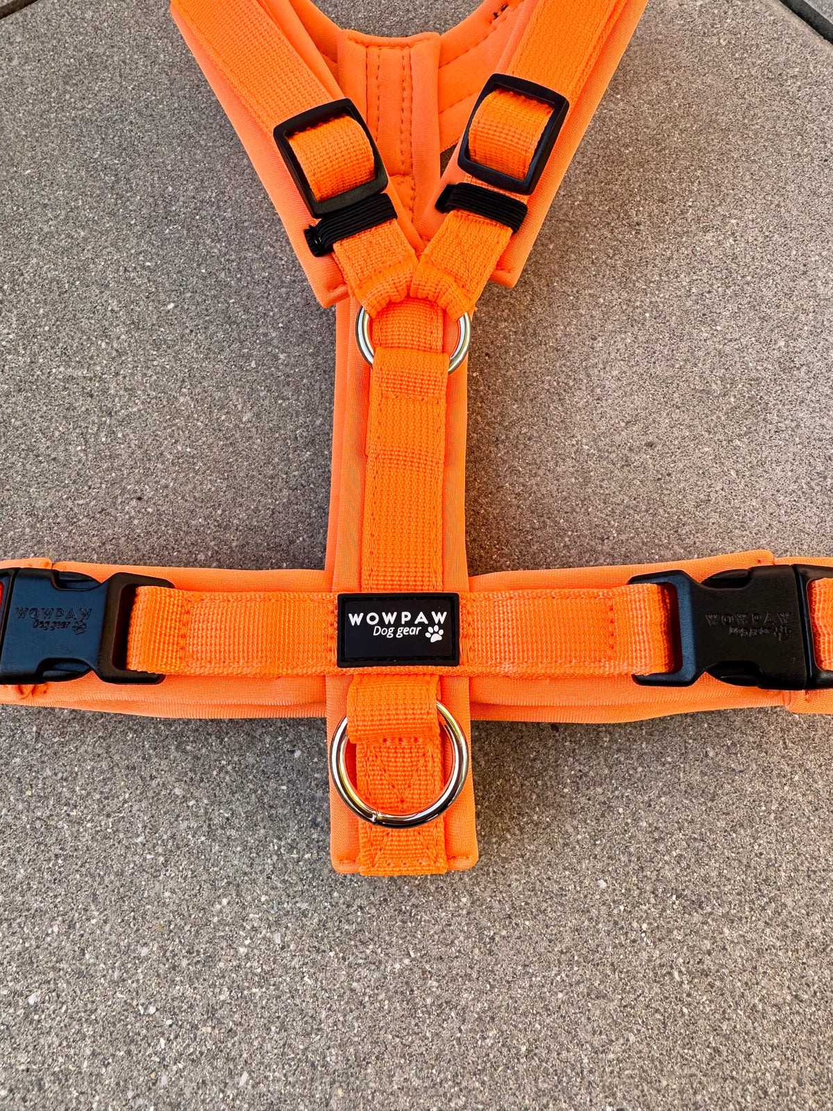 Hochwertiges Hundegeschirr FLOW Neonorange Edition