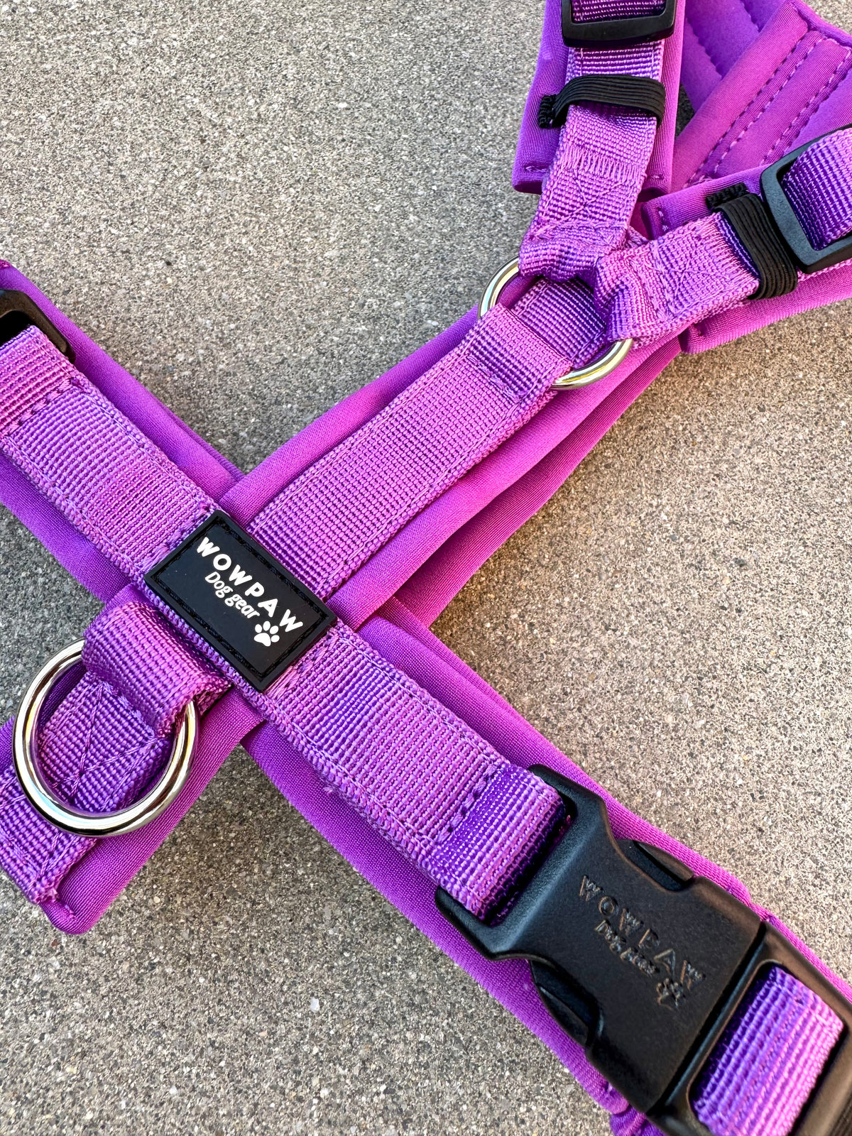 Pettorina per cani di alta qualità FLOW Edizione Viola scuro
