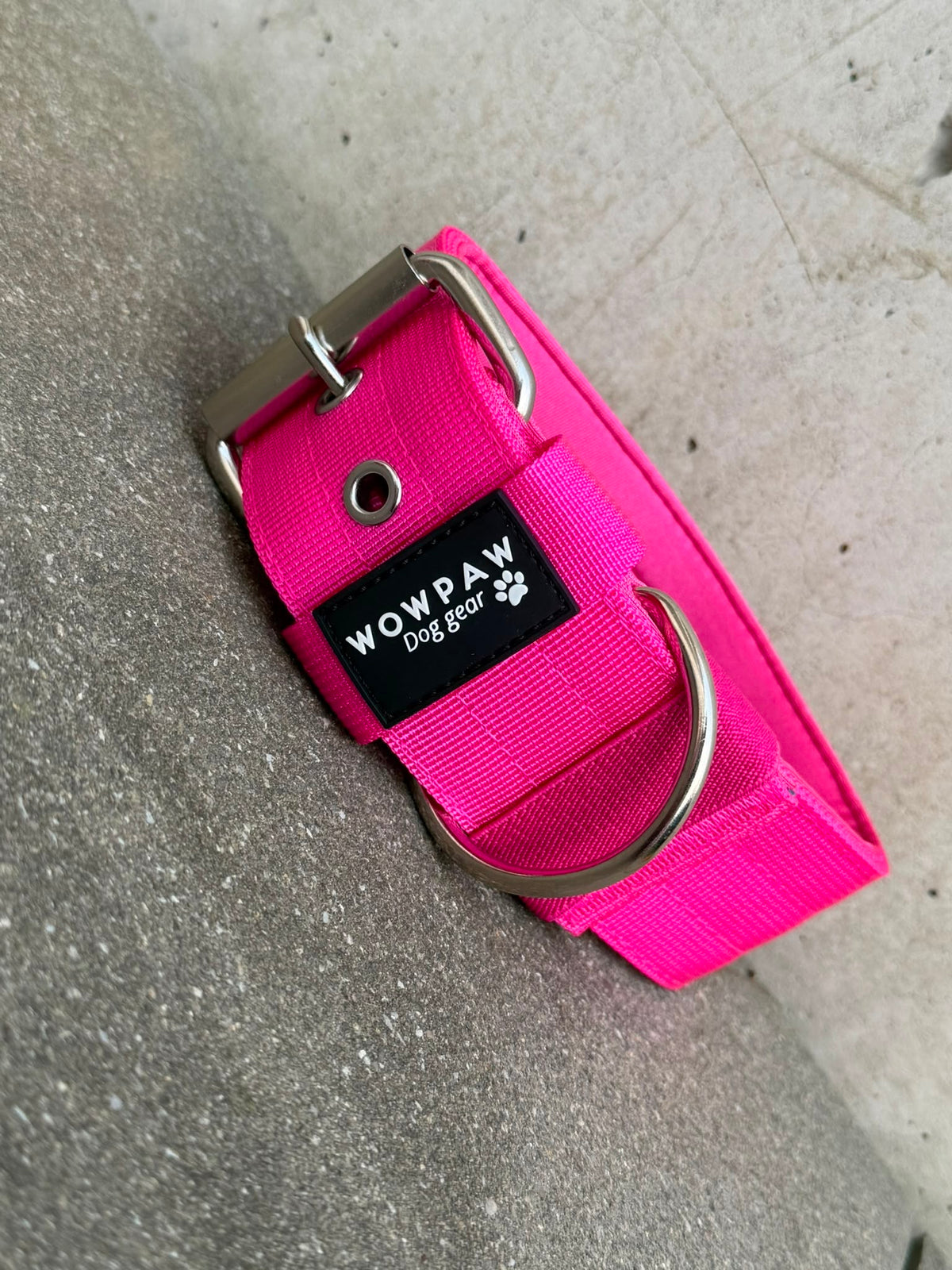 Hochwertiges Basic Hundehalsband Magenta-Silber Edition 5cm Größe L