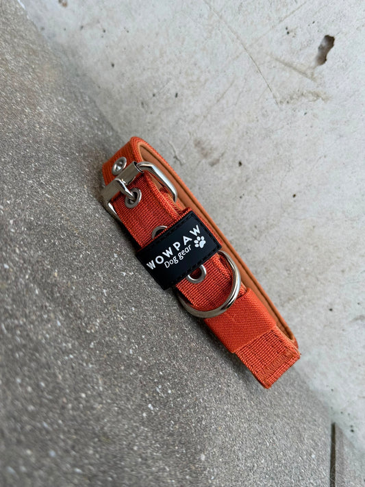 Hochwertiges Basic Hundehalsband Kupfer-Silber Edition 2,5cm Größe S