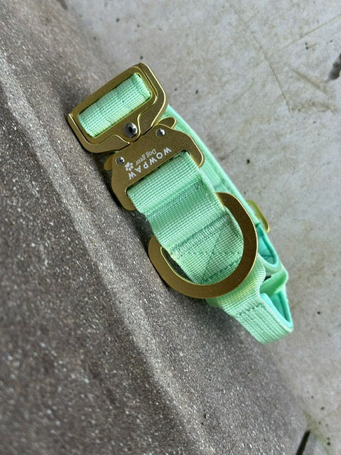 Taktisches Hundehalsband ULTRA LIGHT 3,8cm Pistaziengrün Edition L