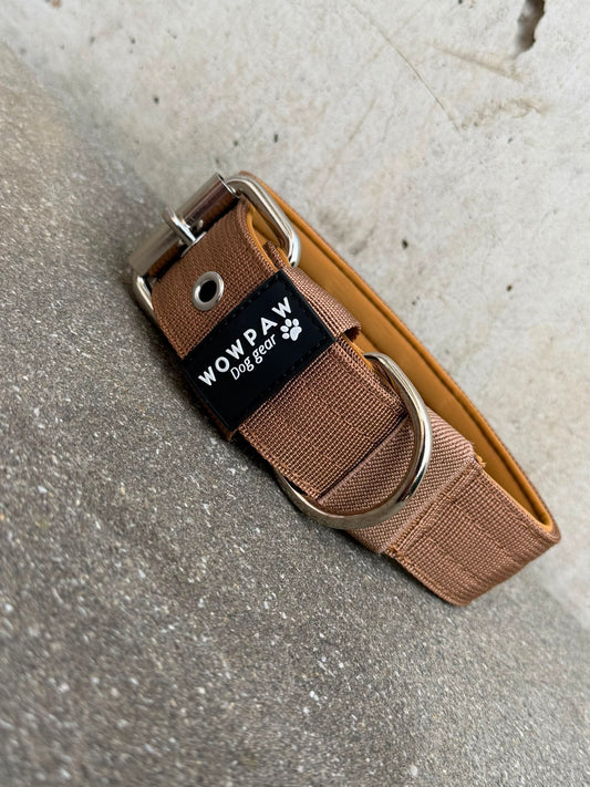Hochwertiges Basic Hundehalsband Braun-Silber Edition 3,8cm Größe S