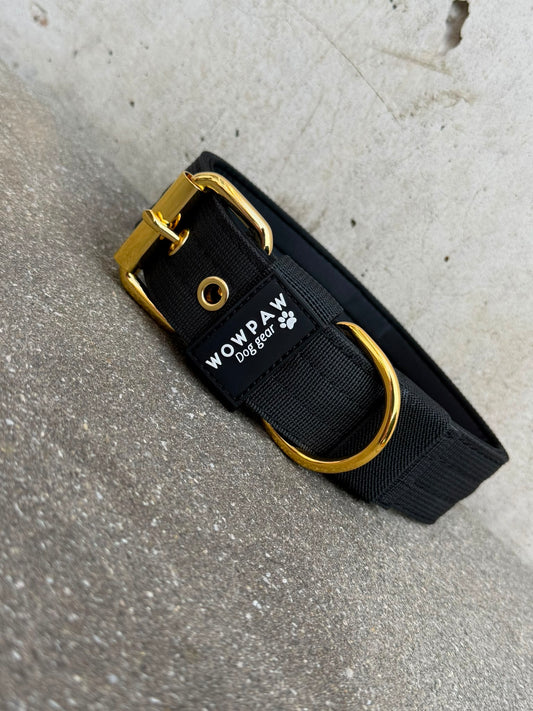 Hochwertiges Basic Hundehalsband Black-Gold Edition 3,8cm Größe L