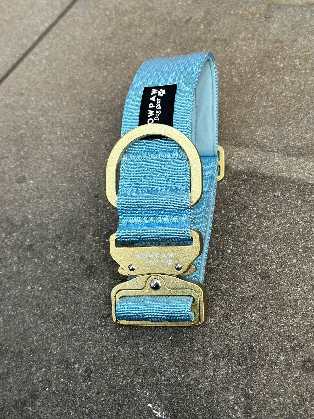 Taktisches Hundehalsband 5cm ULTRA LIGHT Sky Blue Edition M ohne Griff