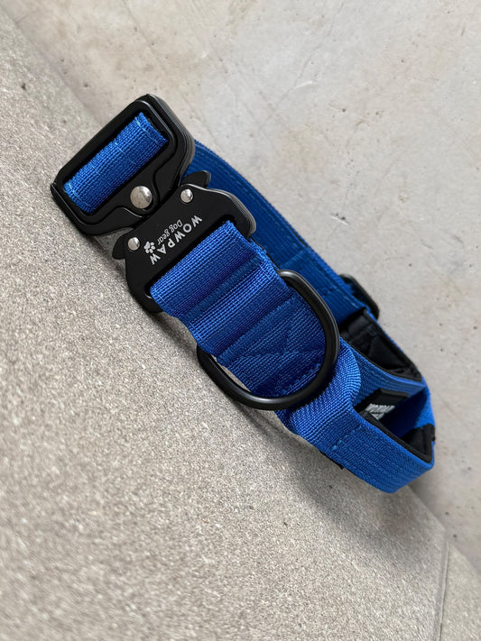Hochwertiges taktisches Hundehalsband Königsblau Größe S Breite 3,8cm