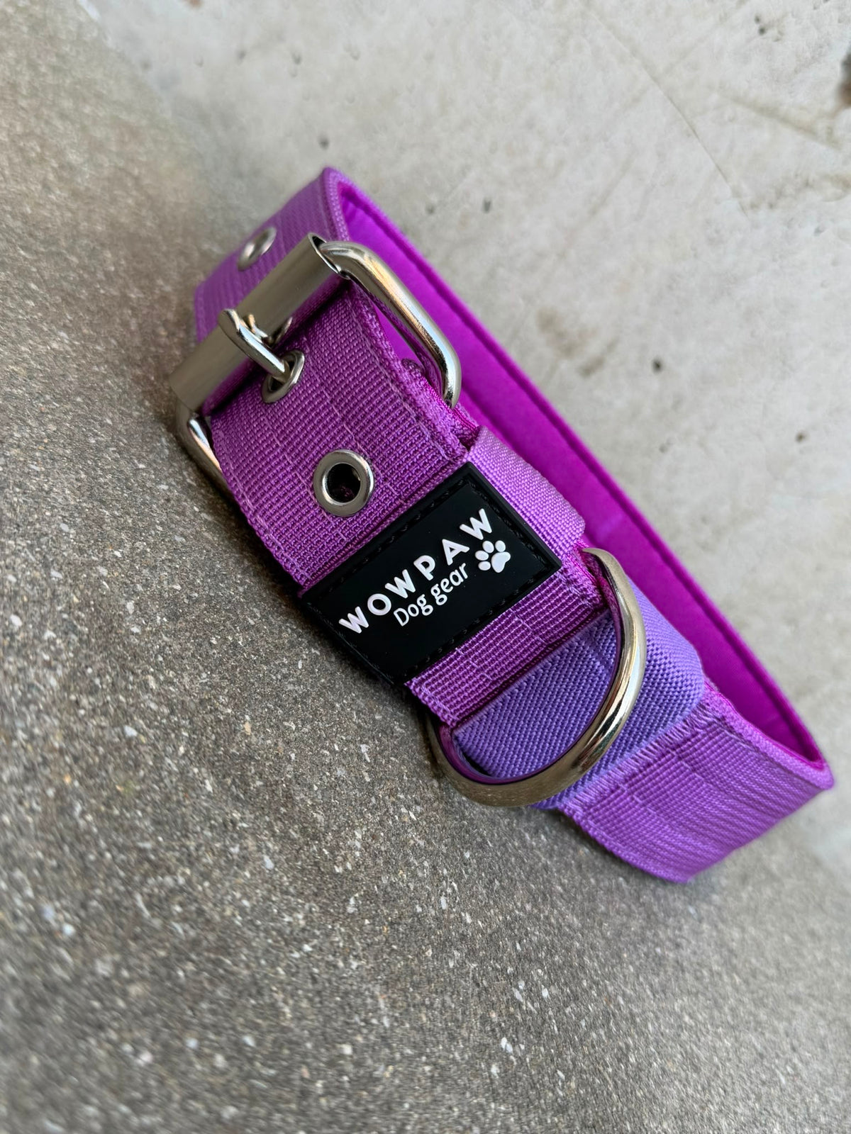 Hochwertiges Basic Hundehalsband Dunkellila-Silber Edition 3,8cm Größe L