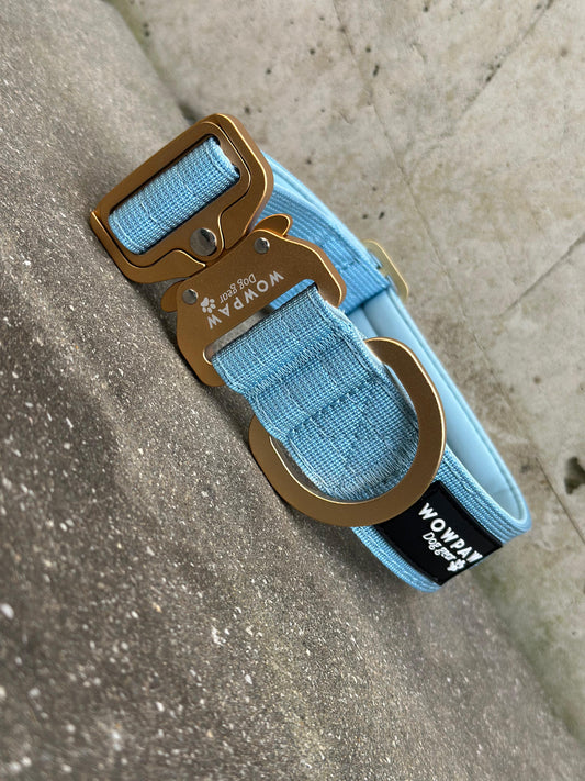 Hochwertiges taktisches Hundehalsband 3,8cm ULTRA LIGHT Sky Blue Edition Größe S ohne Griff