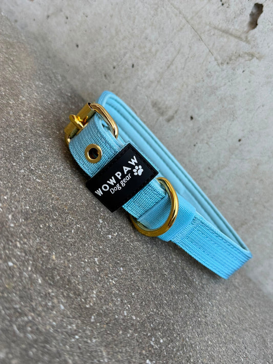 Hochwertiges Basic Hundehalsband Sky Blue-Gold Edition 2,5cm Größe S