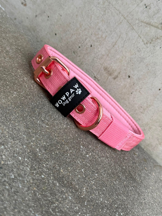 Hochwertiges Basic Hundehalsband Rosa-Roségold Edition 2,5cm Größe S