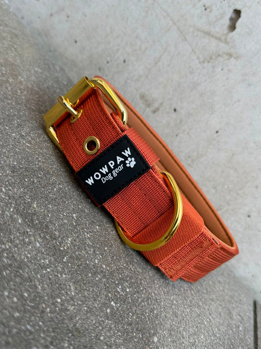 Hochwertiges Basic Hundehalsband Kupfer-Gold Edition 3,8cm Größe S