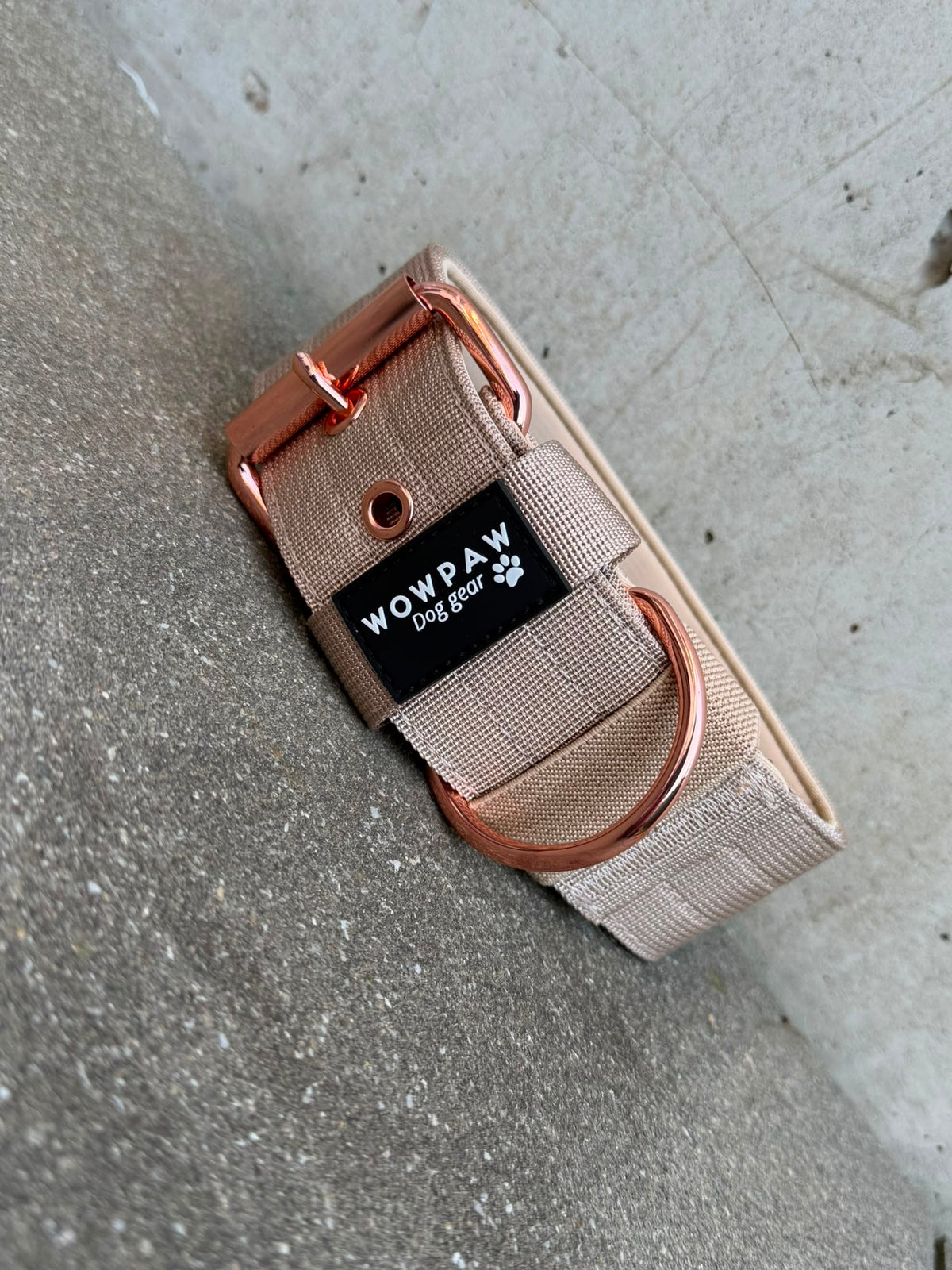 Hochwertiges Basic Hundehalsband Beige-Roségold Edition 5cm Größe L