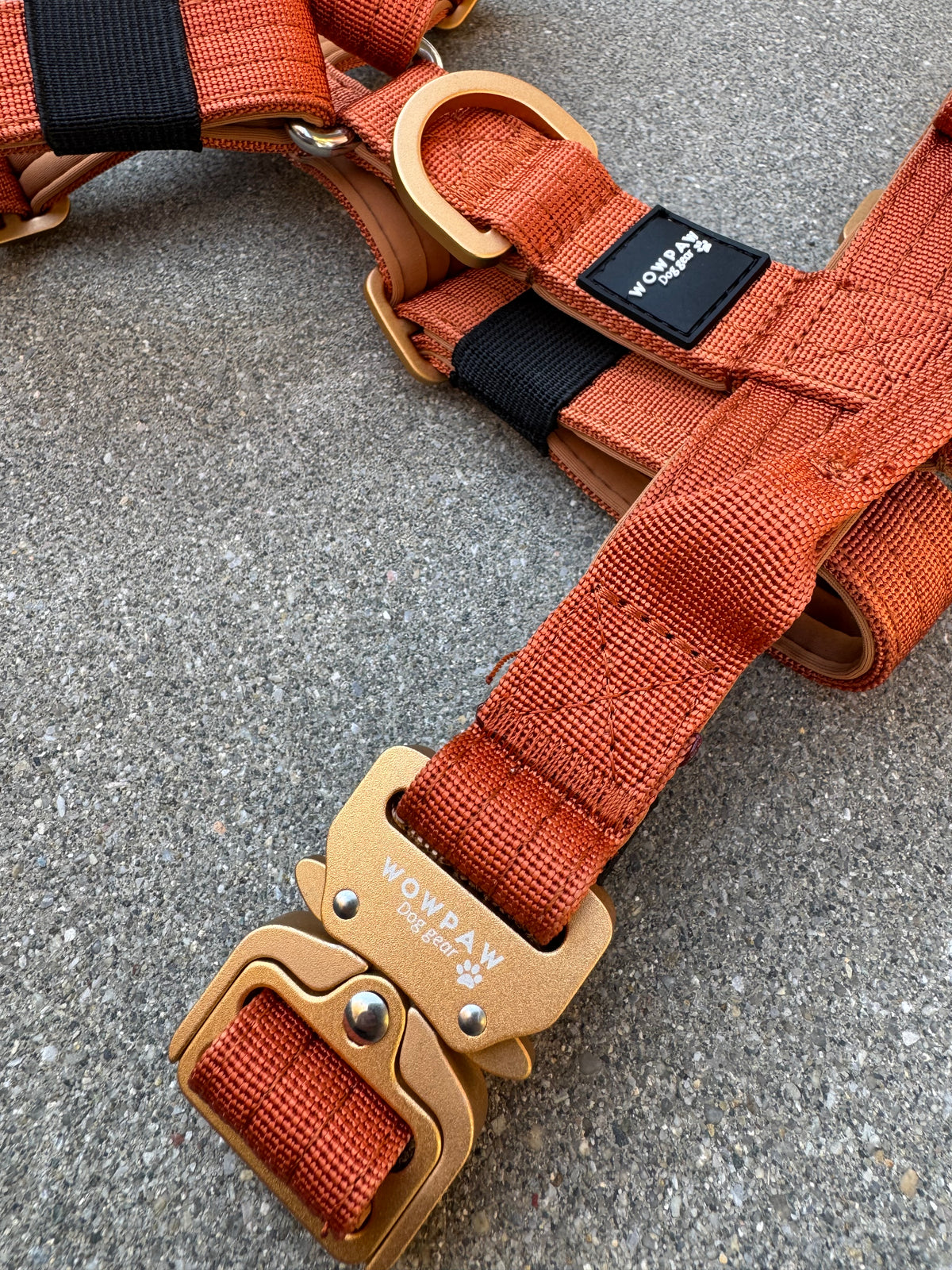 Hochwertiges Hundegeschirr XS Kupfer Edition