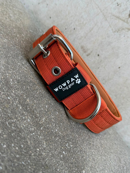 Hochwertiges Basic Hundehalsband Kupfer-Silber Edition 3,8cm Größe S