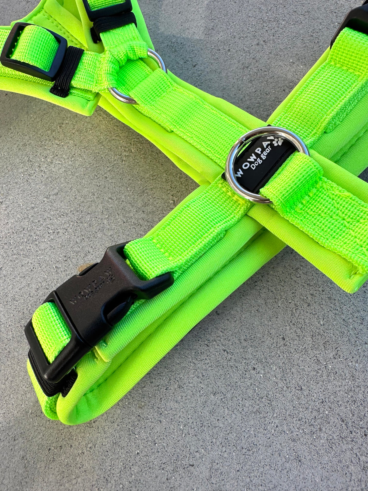 Hochwertiges Hundegeschirr FLOW Neongrün Edition