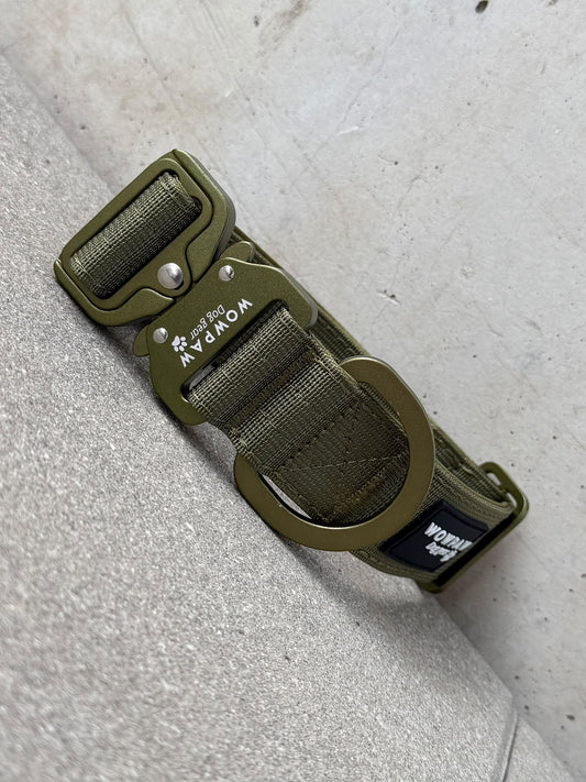 Collare tattico di alta qualità per cani 3,8cm ULTRA LIGHT Edizione verde militare taglia S senza maniglia