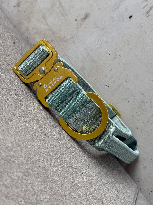 Collare tattico per cani ULTRA LIGHT 3,8cm Edizione Lilla S
