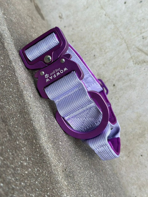 Taktisches Hundehalsband ULTRA LIGHT 3,8cm Flieder Edition M