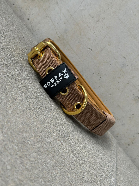 Collare basic per cani di alta qualità, edizione marrone-oro, 2,5cm, taglia S