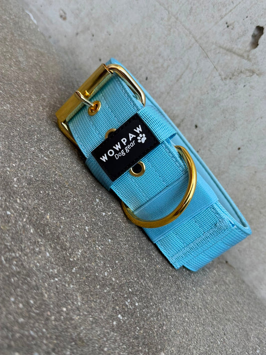 Hochwertiges Basic Hundehalsband Sky Blue-Gold Edition 5cm Größe S