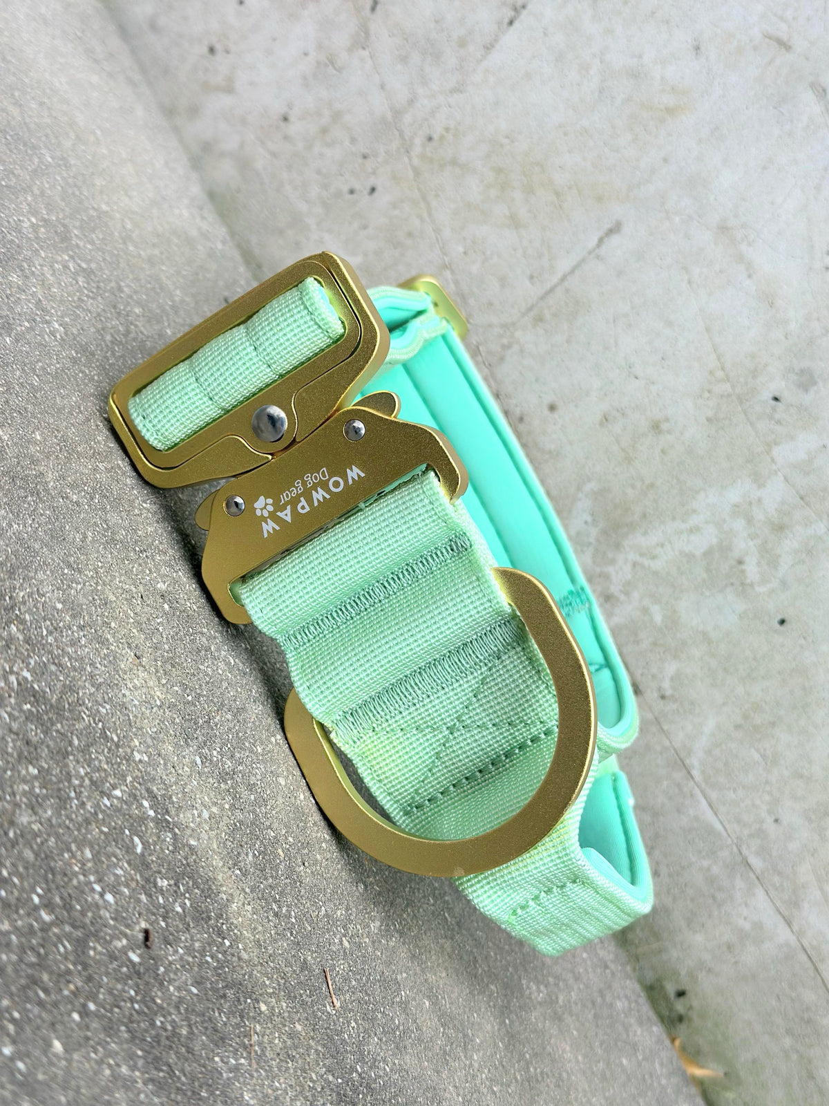 Taktisches Hundehalsband ULTRA LIGHT 5cm Pistaziengrün Edition L