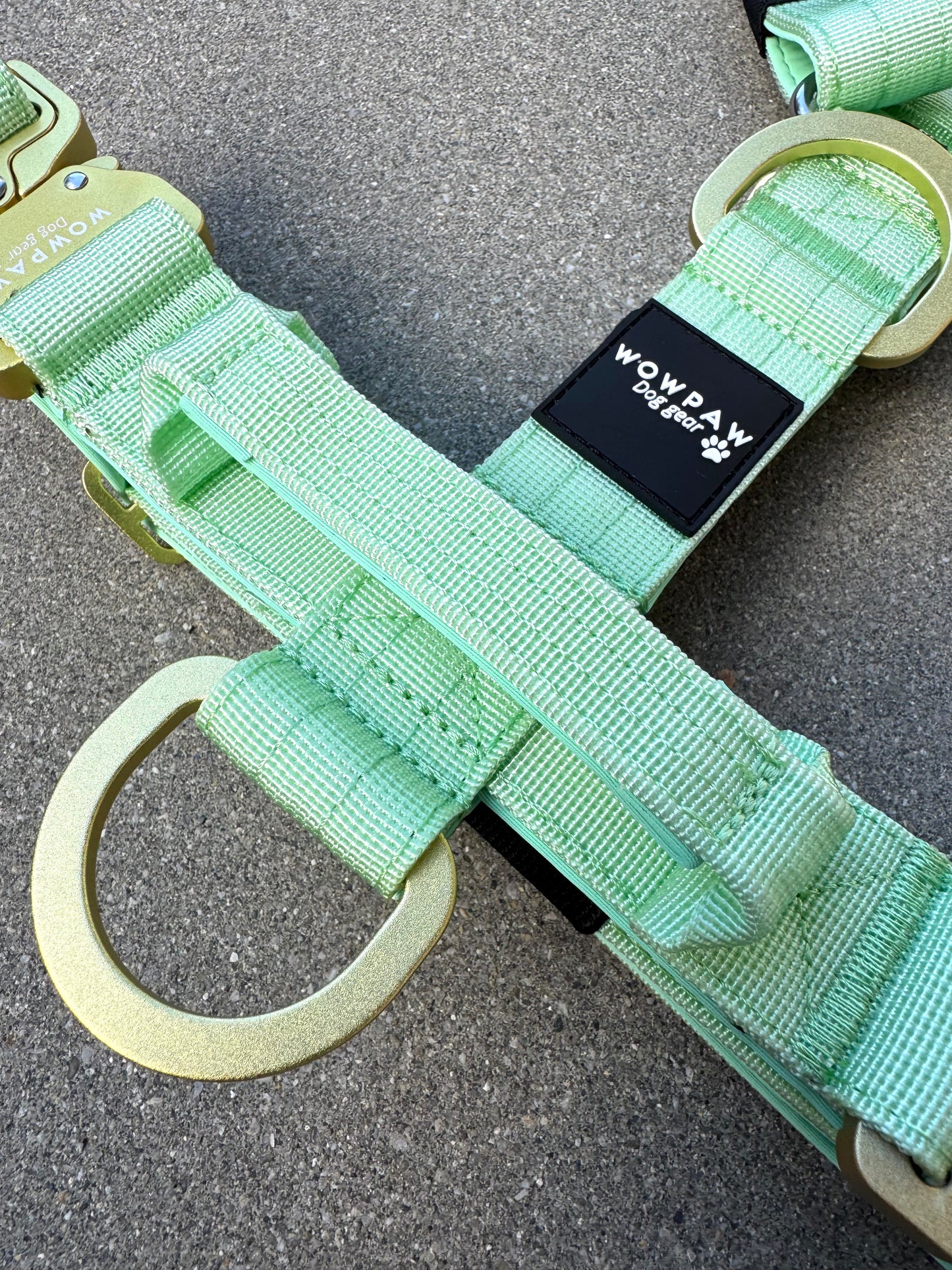 Hochwertiges Hundegeschirr S Pistaziengrün Edition