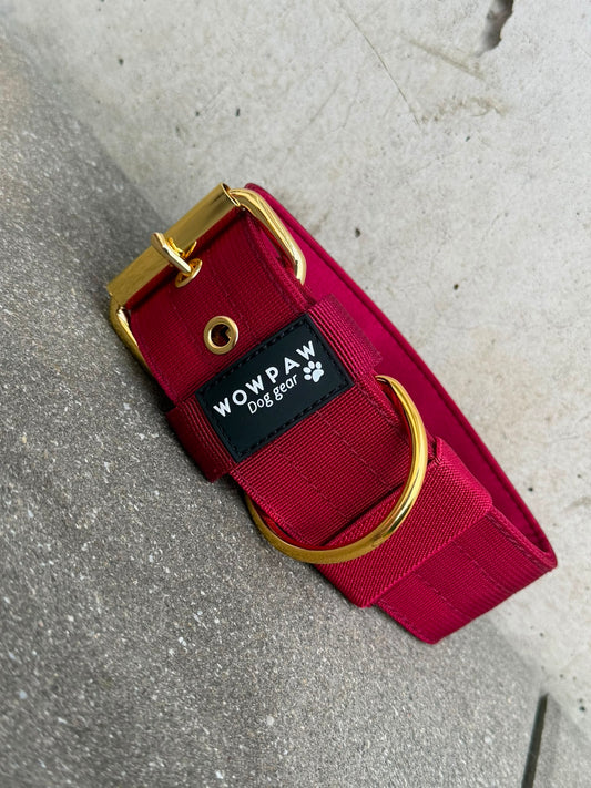 Hochwertiges Basic Hundehalsband Burgund-Gold Edition 5cm Größe M