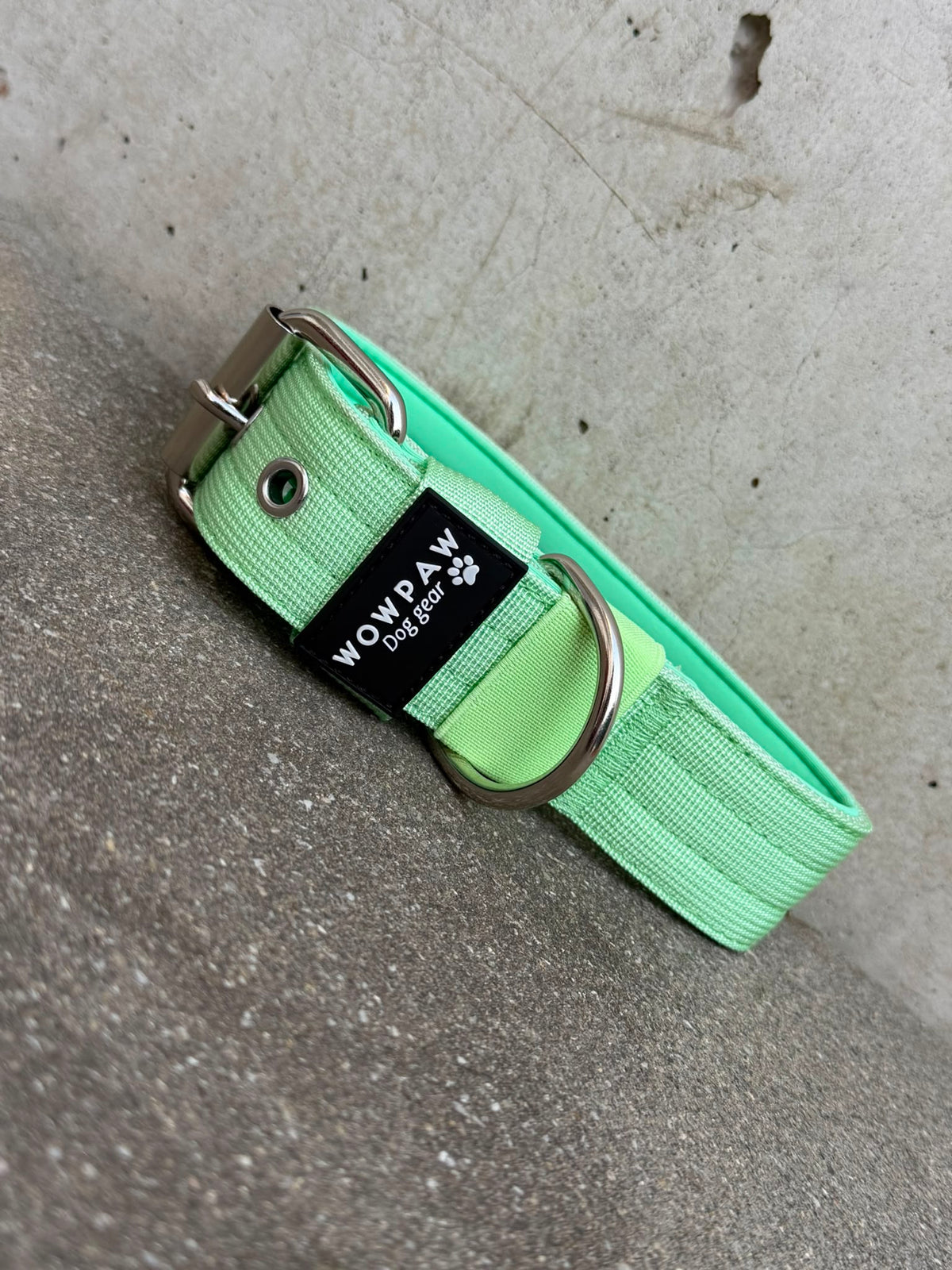 Hochwertiges Basic Hundehalsband Pistaziengrün-Silber Edition 3,8cm Größe L