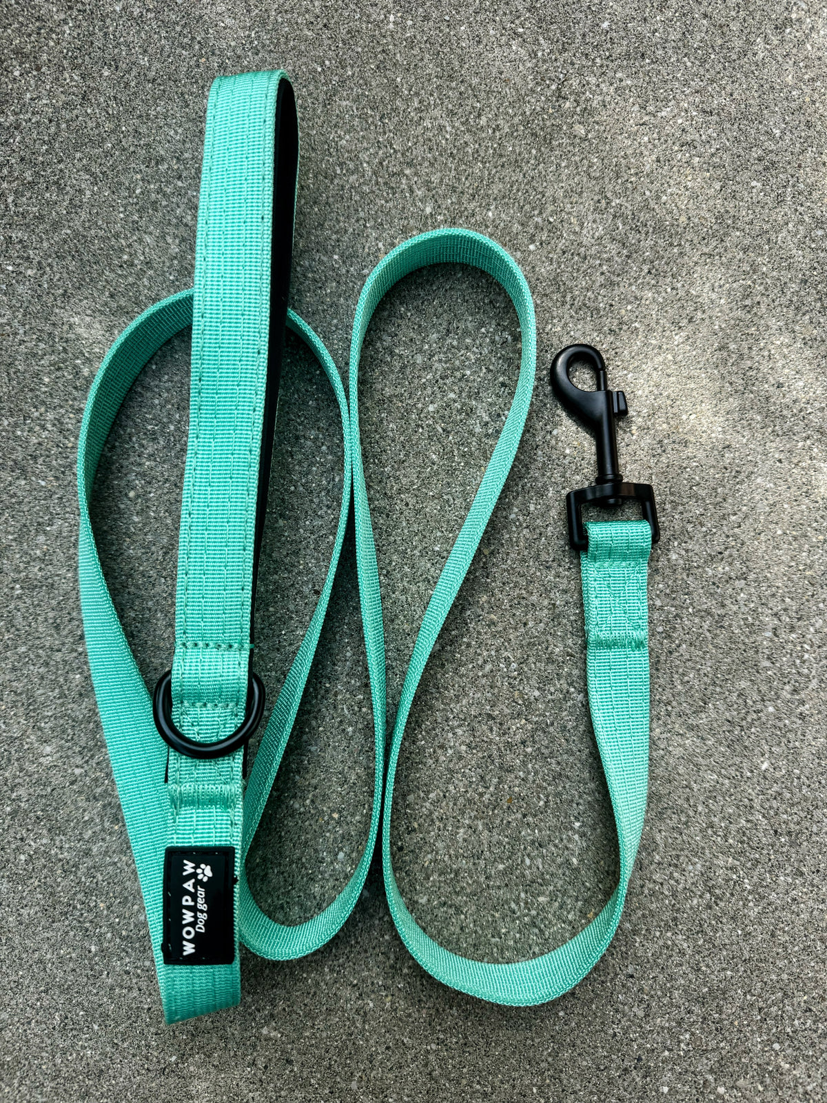 Guinzaglio standard per cani SOFTLINE XS 1,5m Menta