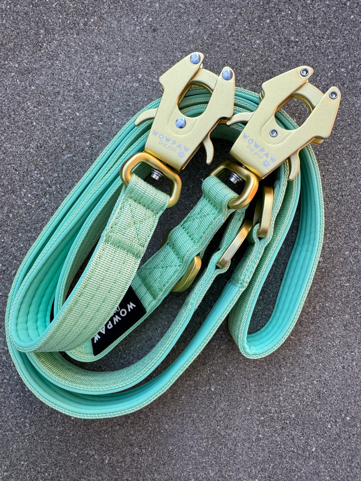 Guinzaglio tattico per cani ULTRA LIGHT Edizione verde pistacchio, lunghezza regolabile 2m