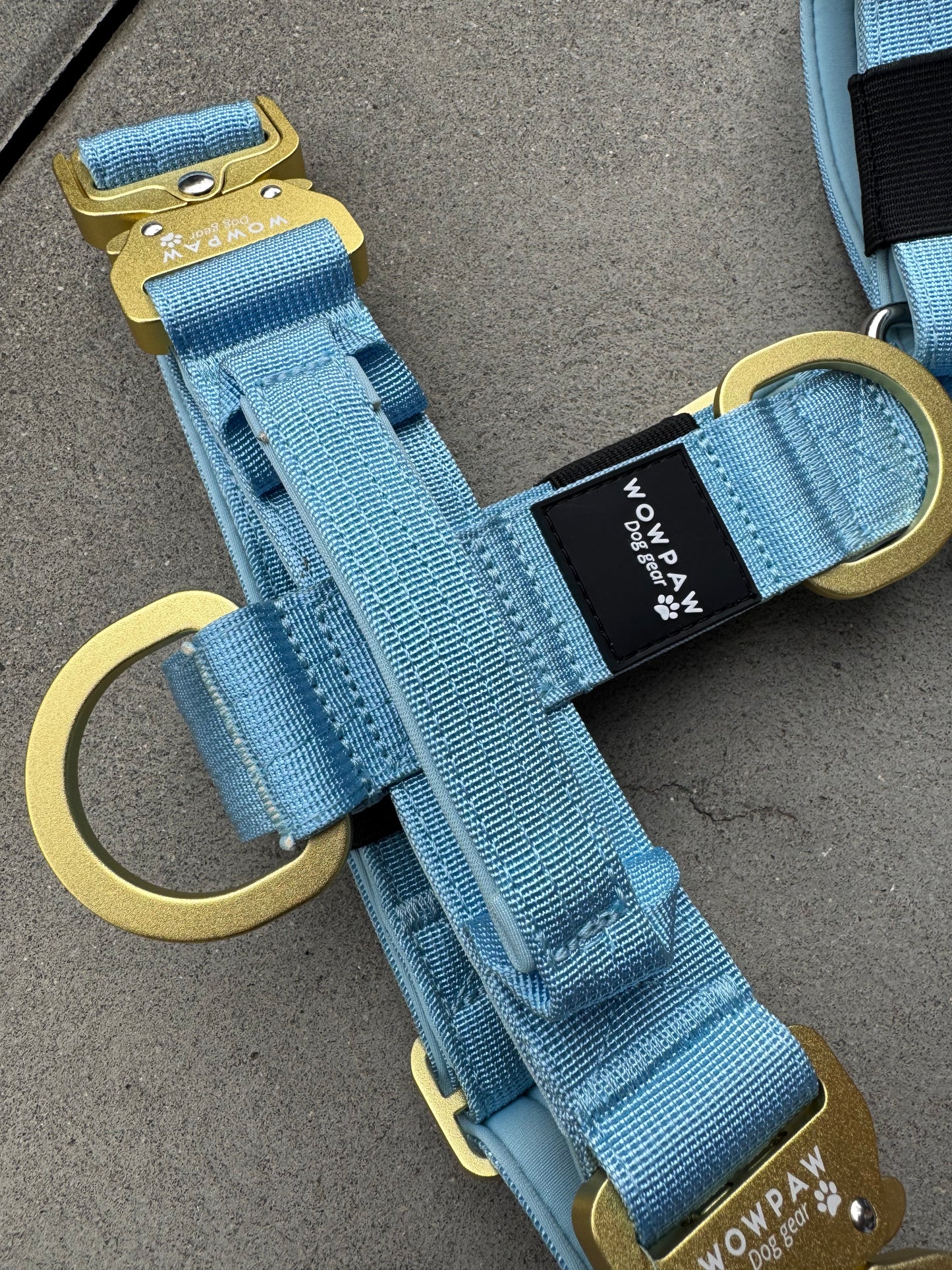 Hochwertiges Hundegeschirr M Sky Blue Edition