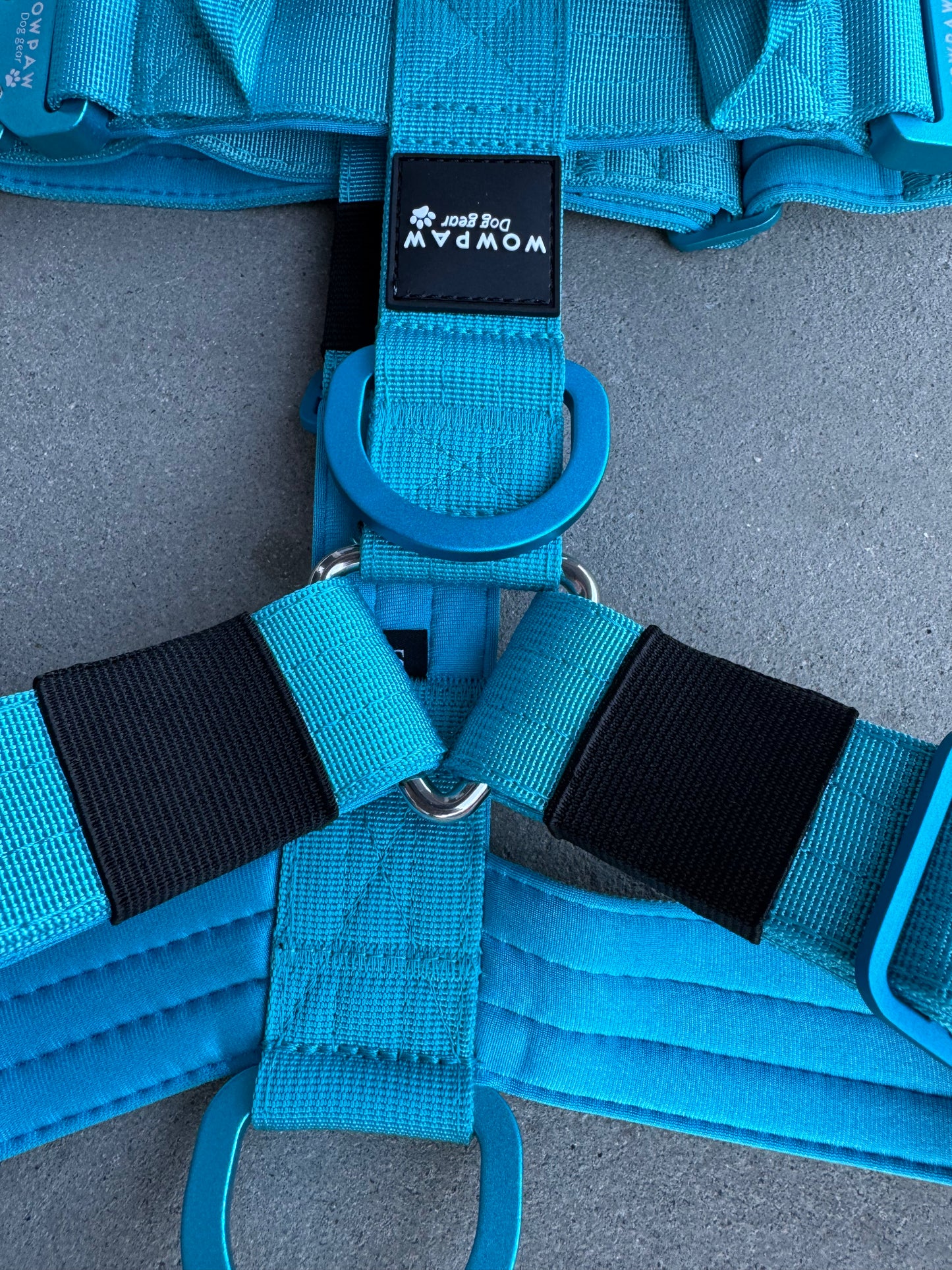 Hochwertiges Hundegeschirr M Hellblau Edition