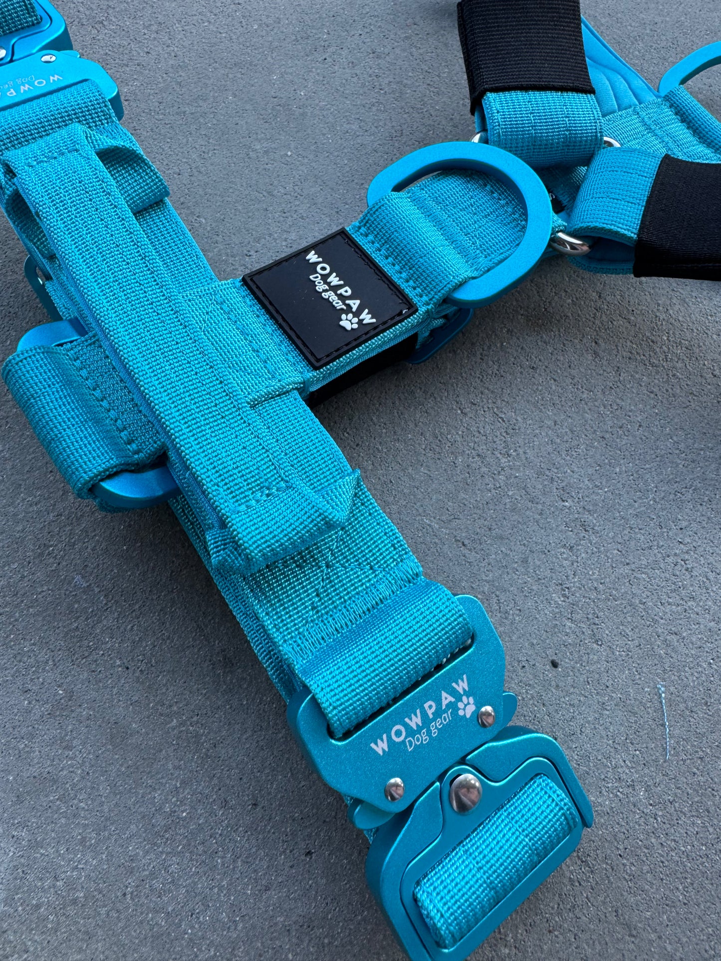 Hochwertiges Hundegeschirr M Hellblau Edition