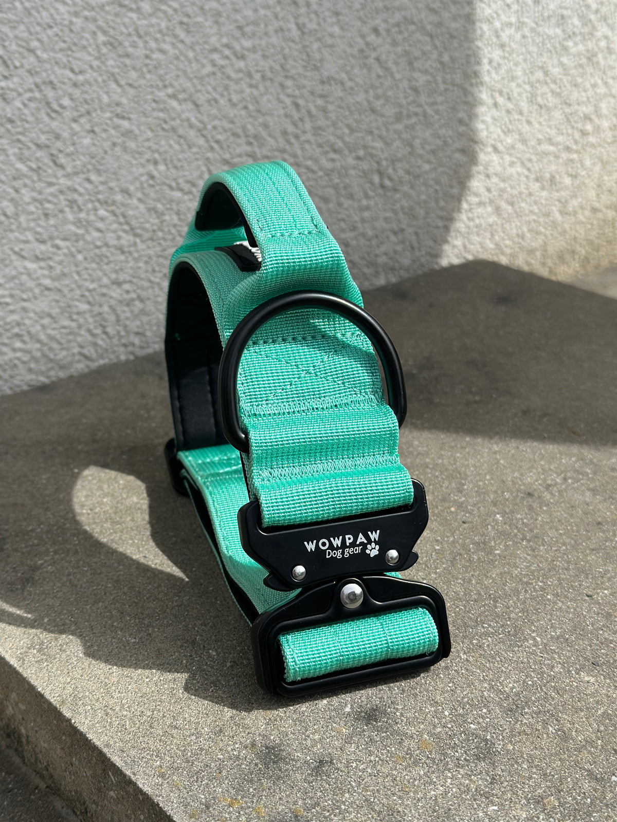 Taktisches Hundehalsband Mint S Bestickt
