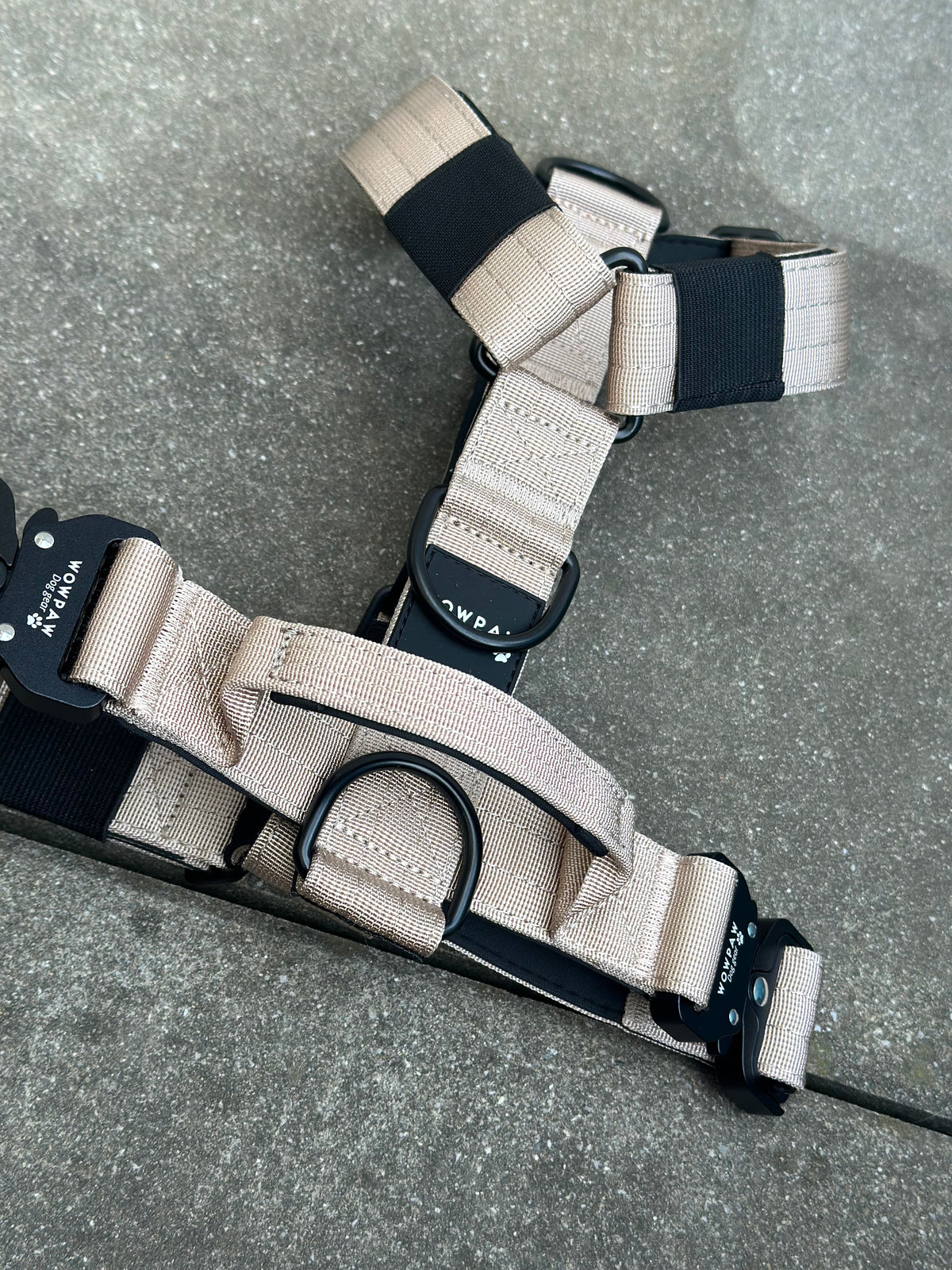 Hochwertiges Hundegeschirr L Beige