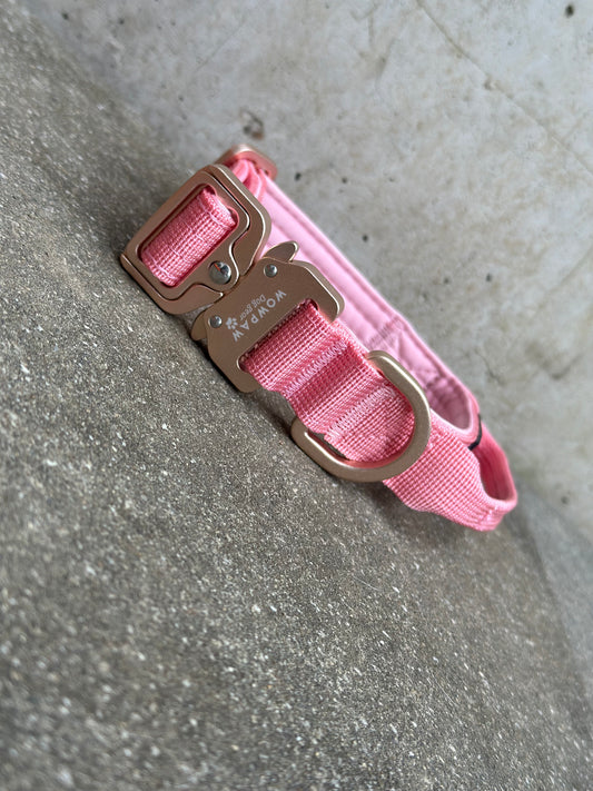 Collare tattico per cani di alta qualità XS 2,5cm Edizione rosa