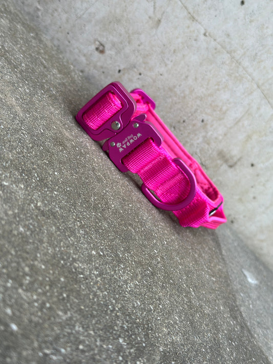 Collare tattico per cani di alta qualità XS 2,5cm Edizione magenta