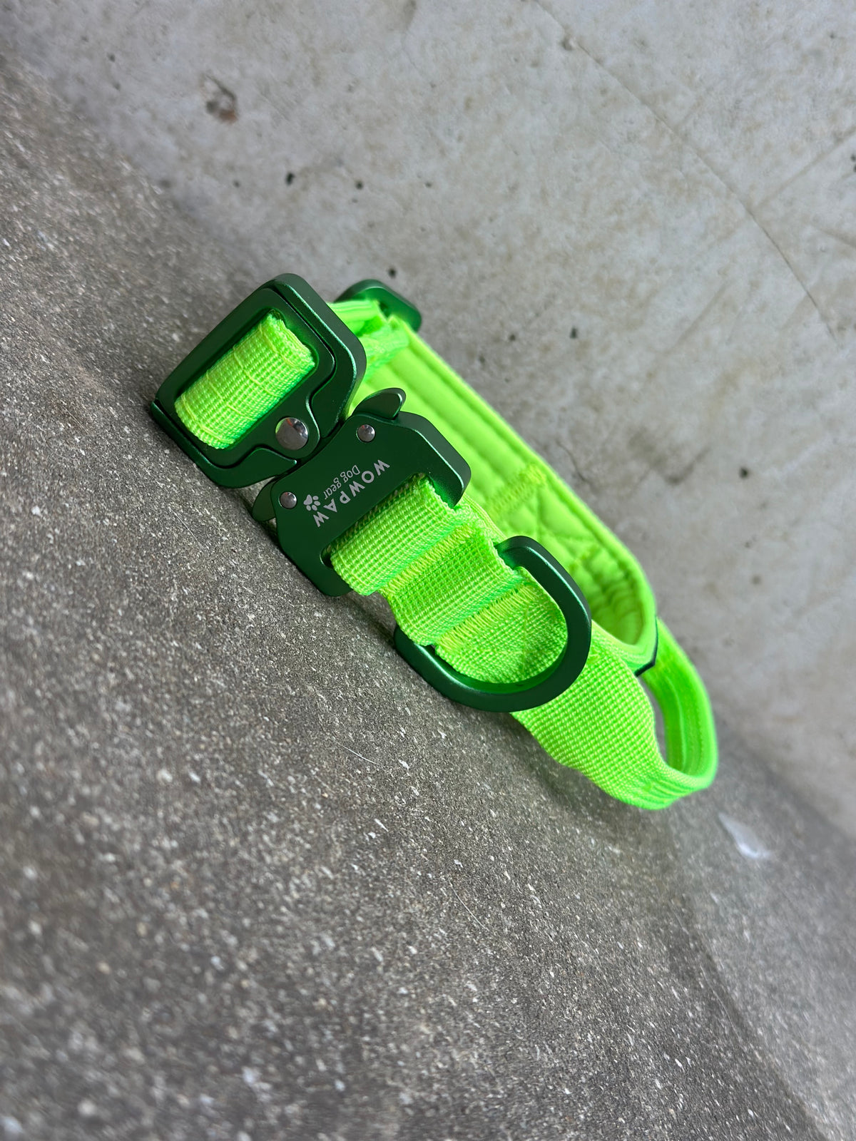 Collare tattico per cani di alta qualità XS 2,5cm Edizione verde neon
